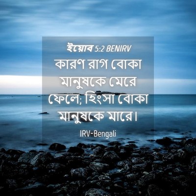 Picture 04 - ইয়োব 5:2 BENIRV - কারণ রাগ বোকা - Bible Verse Picture