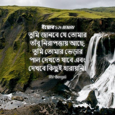 Picture 04 - ইয়োব 5:24 BENIRV - তুমি জানবে যে - Bible Verse Picture