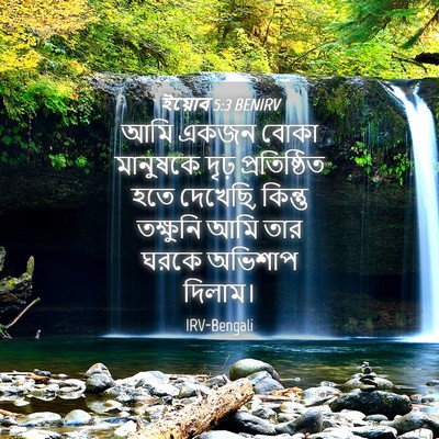 Picture 04 - ইয়োব 5:3 BENIRV - আমি একজন বোকা - Bible Verse Picture