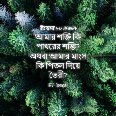 Picture 04 - ইয়োব 6:12 BENIRV - আমার শক্তি কি - Bible Verse Picture