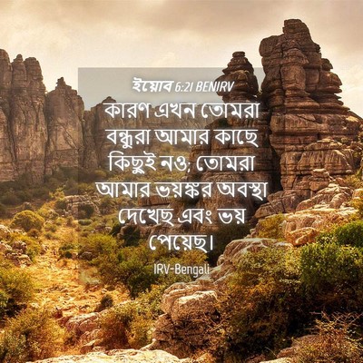Picture 04 - ইয়োব 6:21 BENIRV - কারণ এখন তোমরা - Bible Verse Picture
