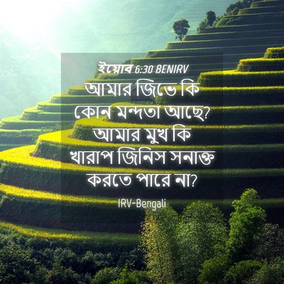 Picture 04 - ইয়োব 6:30 BENIRV - আমার জিভে কি কোন - Bible Verse Picture