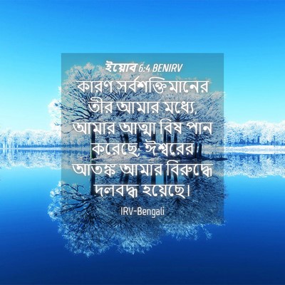 Picture 04 - ইয়োব 6:4 BENIRV - কারণ - Bible Verse Picture