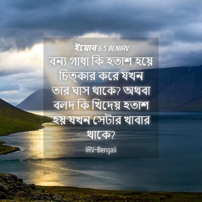 Picture 04 - ইয়োব 6:5 BENIRV - বন্য গাধা কি হতাশ - Bible Verse Picture