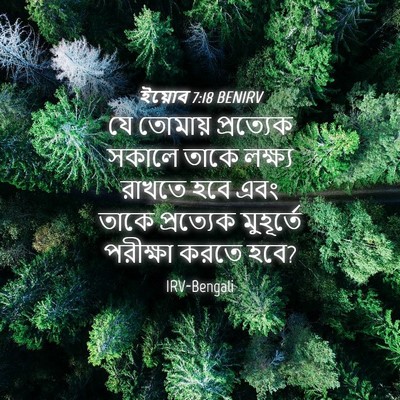 Picture 04 - ইয়োব 7:18 BENIRV - যে তোমায় - Bible Verse Picture