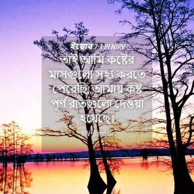 Picture 04 - ইয়োব 7:3 BENIRV - তাই আমি কষ্টের - Bible Verse Picture