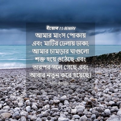 Picture 04 - ইয়োব 7:5 BENIRV - আমার মাংস পোকায় - Bible Verse Picture