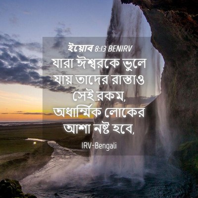 Picture 04 - ইয়োব 8:13 BENIRV - যারা ঈশ্বরকে ভুলে - Bible Verse Picture