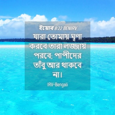 Picture 04 - ইয়োব 8:22 BENIRV - যারা তোমায় ঘৃণা - Bible Verse Picture