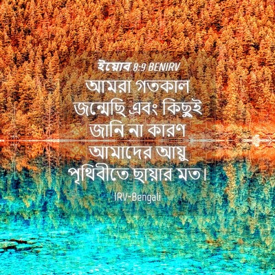 Picture 04 - ইয়োব 8:9 BENIRV - আমরা গতকাল - Bible Verse Picture
