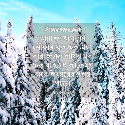 Picture 04 - ইয়োব 9:26 BENIRV - তারা নলখাগড়ার - Bible Verse Picture