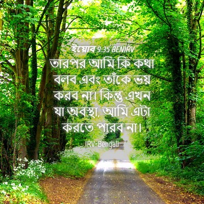 Picture 04 - ইয়োব 9:35 BENIRV - তারপর আমি কি কথা - Bible Verse Picture