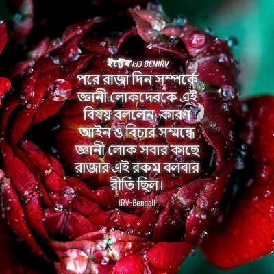 Picture 04 - ইষ্টেৰ 1:13 BENIRV - পরে রাজা দিন - Bible Verse Picture