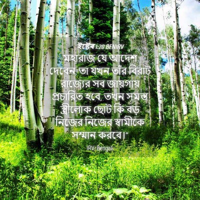 Picture 04 - ইষ্টেৰ 1:20 BENIRV - মহারাজ যে আদেশ - Bible Verse Picture