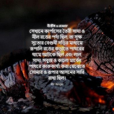 Picture 04 - ইষ্টেৰ 1:6 BENIRV - সেখানে কার্পাসের - Bible Verse Picture