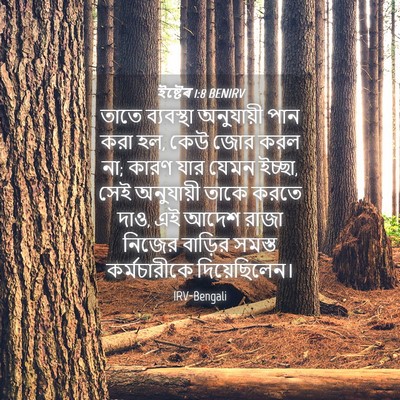 Picture 04 - ইষ্টেৰ 1:8 BENIRV - তাতে ব্যবস্থা - Bible Verse Picture