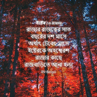 Picture 04 - ইষ্টেৰ 2:16 BENIRV - রাজার রাজত্বের - Bible Verse Picture