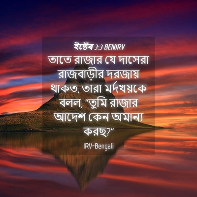 Picture 04 - ইষ্টেৰ 3:3 BENIRV - তাতে রাজার যে - Bible Verse Picture