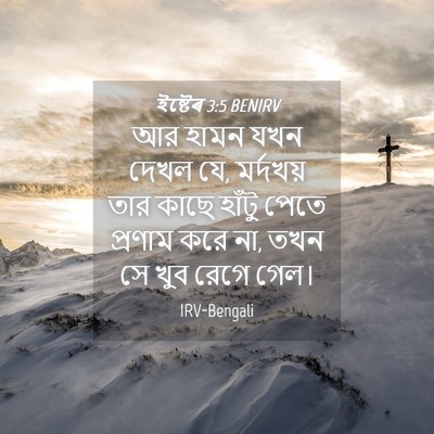 Picture 04 - ইষ্টেৰ 3:5 BENIRV - আর হামন যখন দেখল - Bible Verse Picture