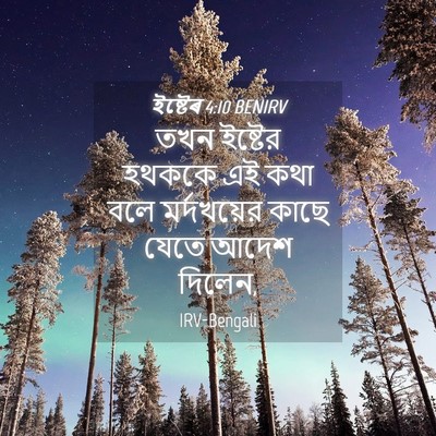 Picture 04 - ইষ্টেৰ 4:10 BENIRV - তখন ইষ্টের হথককে - Bible Verse Picture