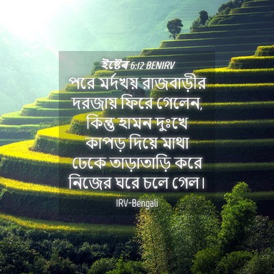 Picture 04 - ইষ্টেৰ 6:12 BENIRV - পরে মর্দখয় - Bible Verse Picture
