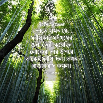 Picture 04 - ইষ্টেৰ 7:10 BENIRV - তাতে হামন যে - Bible Verse Picture