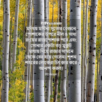 Picture 04 - ইষ্টেৰ 8:15 BENIRV - মর্দখয় মসীনা - Bible Verse Picture