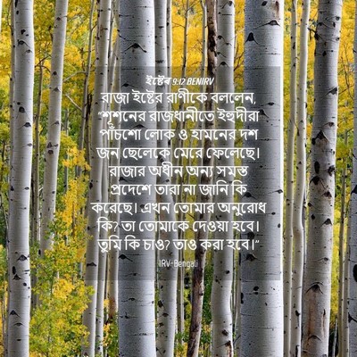 Picture 04 - ইষ্টেৰ 9:12 BENIRV - রাজা ইষ্টের - Bible Verse Picture