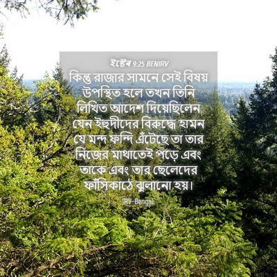Picture 04 - ইষ্টেৰ 9:25 BENIRV - কিন্তু রাজার - Bible Verse Picture