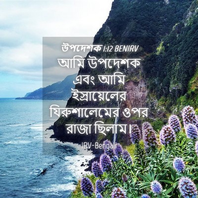 Picture 04 - উপদেশক 1:12 BENIRV - আমি উপদেশক এবং আমি - Bible Verse Picture