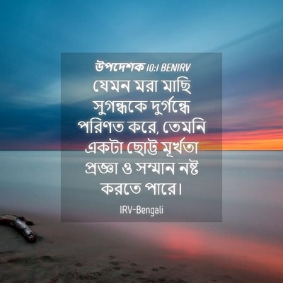 Picture 04 - উপদেশক 10:1 BENIRV - যেমন মরা মাছি - Bible Verse Picture