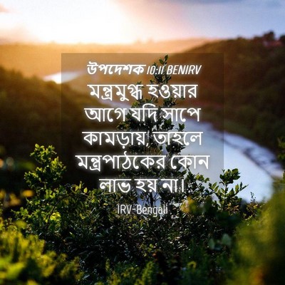 Picture 04 - উপদেশক 10:11 BENIRV - মন্ত্রমুগ্ধ - Bible Verse Picture