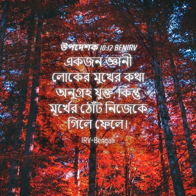 Picture 04 - উপদেশক 10:12 BENIRV - একজন জ্ঞানী লোকের - Bible Verse Picture