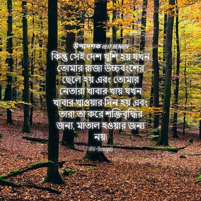 Picture 04 - উপদেশক 10:17 BENIRV - কিন্তু সেই দেশ - Bible Verse Picture