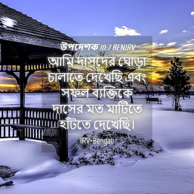 Picture 04 - উপদেশক 10:7 BENIRV - আমি দাসদের ঘোড়া - Bible Verse Picture