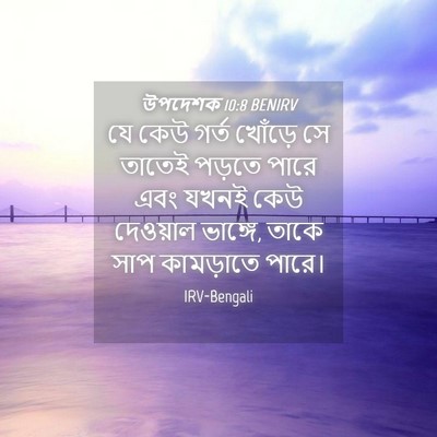 Picture 04 - উপদেশক 10:8 BENIRV - যে কেউ গর্ত খোঁড়ে - Bible Verse Picture