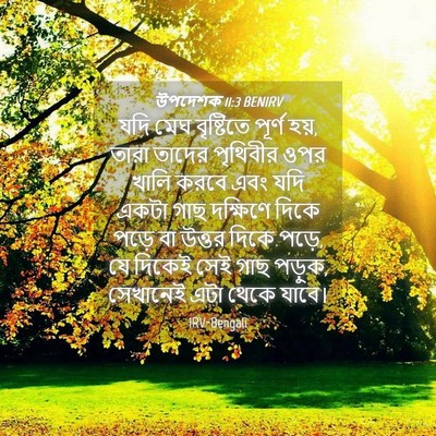 Picture 04 - উপদেশক 11:3 BENIRV - যদি মেঘ বৃষ্টিতে - Bible Verse Picture