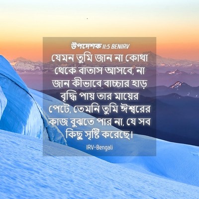 Picture 04 - উপদেশক 11:5 BENIRV - যেমন তুমি জান না - Bible Verse Picture