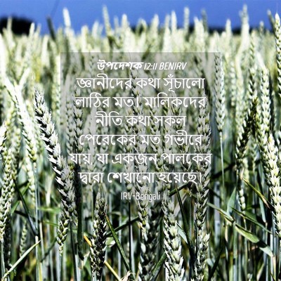 Picture 04 - উপদেশক 12:11 BENIRV - জ্ঞানীদের কথা - Bible Verse Picture