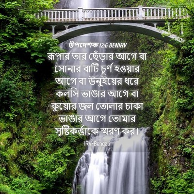 Picture 04 - উপদেশক 12:6 BENIRV - রূপার তার ছেঁড়ার - Bible Verse Picture