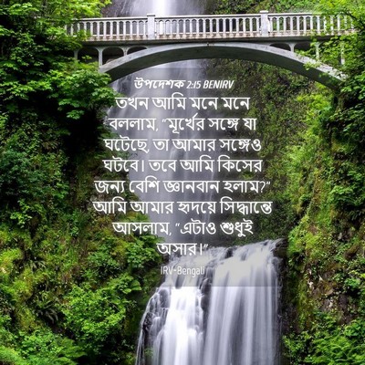 Picture 04 - উপদেশক 2:15 BENIRV - তখন আমি মনে মনে - Bible Verse Picture