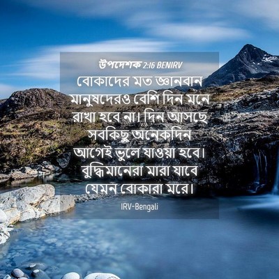 Picture 04 - উপদেশক 2:16 BENIRV - বোকাদের মত - Bible Verse Picture