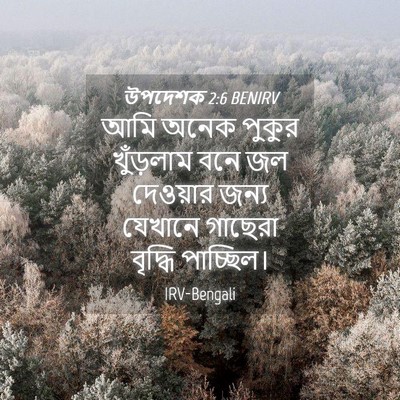 Picture 04 - উপদেশক 2:6 BENIRV - আমি অনেক পুকুর - Bible Verse Picture