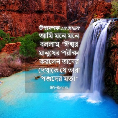 Picture 04 - উপদেশক 3:18 BENIRV - আমি মনে মনে বললাম, - Bible Verse Picture