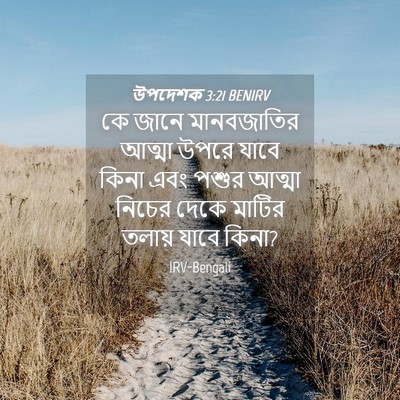 Picture 04 - উপদেশক 3:21 BENIRV - কে জানে মানবজাতির - Bible Verse Picture