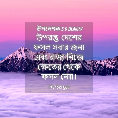 Picture 04 - উপদেশক 5:9 BENIRV - উপরন্তু, দেশের ফসল - Bible Verse Picture