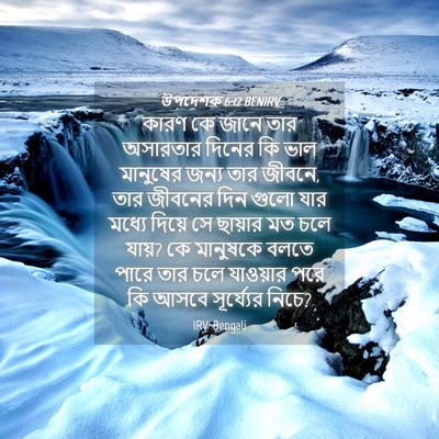 Picture 04 - উপদেশক 6:12 BENIRV - কারণ কে জানে তার - Bible Verse Picture