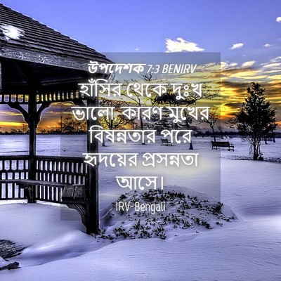 Picture 04 - উপদেশক 7:3 BENIRV - হাঁসির থেকে দুঃখ - Bible Verse Picture