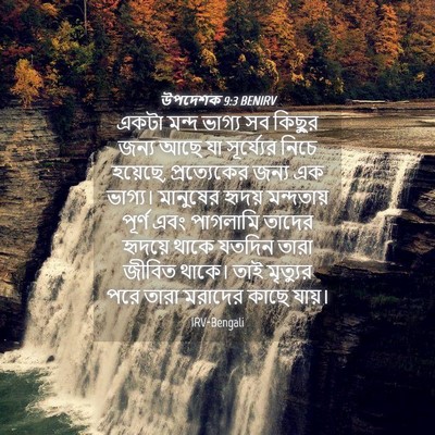 Picture 04 - উপদেশক 9:3 BENIRV - একটা মন্দ ভাগ্য সব - Bible Verse Picture
