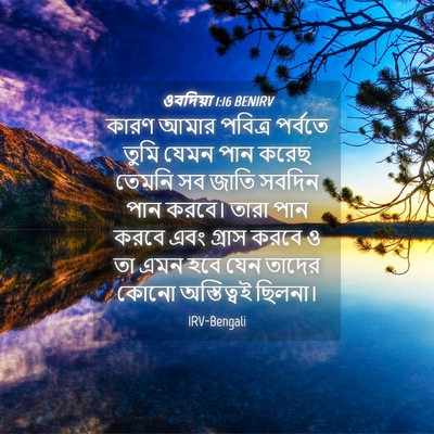 Picture 04 - ওবদিয়া 1:16 BENIRV - কারণ আমার পবিত্র - Bible Verse Picture